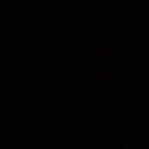 Meet your Posher, Tamara